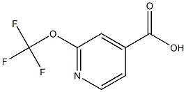 2-(trifluoroMethoxy)isonicotinic acid CAS#: 1221171-98-7