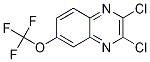 2,3-Dichloro-6-(trifluoroMethoxy)quinoxaline CAS#: 1253522-03-0