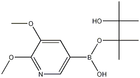2,3-Dimethoxypyridine-5-boronic acid,pinacol ester CAS#: 1083168-92-6