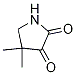 2,3-Pyrrolidinedione, 4,4-diMethyl- CAS#: 1248826-72-3