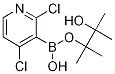 2,4-Dichloropyridine-3-boronic acid pinacol ester CAS#: 1257651-49-2