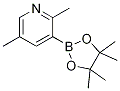 2,5-DiMethylpyridine-3-boronic acid pinacol ester CAS#: 1309980-12-8