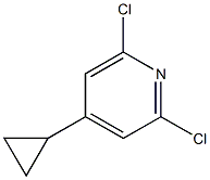 2,6-dichloro-4-cyclopropylpyridine CAS#: 1374143-99-3