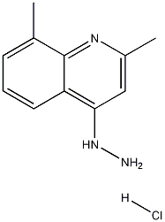 2,8-Dimethyl-4-hydrazinoquinoline hydrochloride CAS#: 1172993-37-1