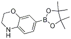 2H-1,4-Benzoxazine, 3,4-dihydro-7-(4,4,5,5-tetraMethyl-1,3,2-dioxaborolan-2-yl)- CAS#: 1361110-64-6