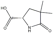 (2S)-4,4-Dimethyl-pyroglutamic Acid CAS#: 1217832-12-6
