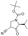 (2S)-tert-butyl 4-cyano-2-isopropyl-3-oxopyrrolidine-1-carboxylate CAS#: 1196157-50-2