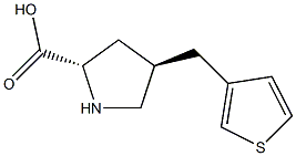(2S,4R)-4-(thiophen-3-ylMethyl)pyrrolidine-2-carboxylic acid CAS#: 1373609-37-0