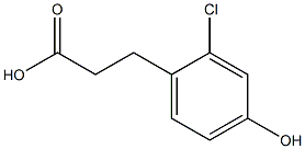 3-(2-Chloro-4-hydroxyphenyl)propionic acid CAS#: 1261449-78-8