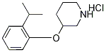 3-(2-Isopropylphenoxy)piperidine hydrochloride, 97+% CAS#: 1220033-52-2