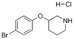 3-(4-BroMophenoxy)piperidine HCl CAS#: 1185025-37-9