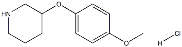 3-(4-Methoxyphenoxy)piperidine HCl CAS#: 1172249-12-5