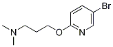 3-(5-Bromopyridin-2-yloxy)-N,N-dimethylpropan-1-amine CAS#: 1248399-37-2