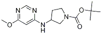 3-(6-Methoxy-pyriMidin-4-ylaMino)-pyrrolidine-1-carboxylic acid tert-butyl ester CAS#: 1353974-03-4