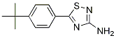 3-AMino-5-(4-tert-butylphenyl)-1,2,4-thiadiazole, 96% CAS#: 1086385-86-5