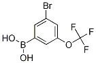 3-BROMO-5-(TRIFLUOROMETHOXY)PHENYLBORONIC ACID CAS#: 1072951-48-4