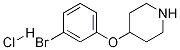3-BROMOPHENYL 4-PIPERIDINYL ETHER HYDROCHLORIDE CAS#: 1072944-50-3