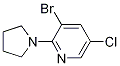 3-Bromo-5-chloro-2-(pyrrolidin-1-yl)pyridine CAS#: 1199773-44-8