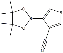 3-CYANOTHIOPHENE-4-BORONIC ACID PINACOL ESTER CAS#: 1073354-61-6