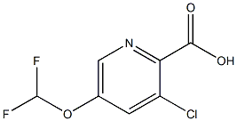 3-Chloro-5-difluoroMethoxy-pyridine-2-carboxylic acid CAS#: 1262860-72-9