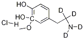 3-Methoxy DopaMine-d4 Hydrochloride CAS#: 1216788-76-9