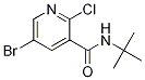 3-PyridinecarboxaMide, 5-broMo-2-chloro-N-(1,1-diMethylethyl)- CAS#: 1247217-76-0