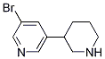 3-broMo-5-(piperidin-3-yl)pyridine CAS#: 1260654-37-2
