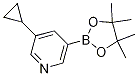 3-cyclopropyl-5-(4,4,5,5-tetramethyl-1,3,2-dioxaborolan-2-yl)pyridine CAS#: 1220696-43-4