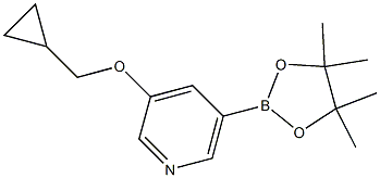 3-(cyclopropylMethoxy)-5-(4,4,5,5-tetraMethyl-1,3,2-dioxaborolan-2-yl)pyridine CAS#: 1257553-87-9