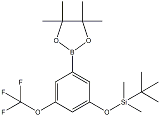 3-(t-Butyldimethysilyloxy)-5-trifluoromethoxyphenylboronic acid,pinacol ester CAS#: 1150271-36-5