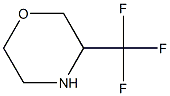 3-(trifluoromethyl)morpholine CAS#: 1196152-13-2
