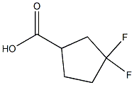 3,3-Difluorocyclopentaecarboxylic acid CAS#: 1260897-05-9