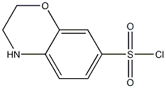 3,4-dihydro-2H-1,4-benzoxazine-7-sulfonyl chloride CAS#: 1186307-20-9