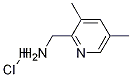 (3,5-diMethylpyridin-2-yl)MethanaMine hydrochloride CAS#: 1257535-52-6