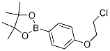 4-(2-Chloro-ethoxy)-phenyl-4,4,5,5-tetraMethyl-1,3,2dioxaborolane CAS#: 1256359-01-9