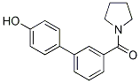 4-(3-Pyrrolidinylcarbonylphenyl)phenol CAS#: 1261947-62-9