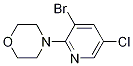 4-(3-bromo-5-chloropyridin-2-yl)morpholine CAS#: 1199773-36-8