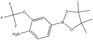 4-(4,4,5,5-Tetramethyl-1,3,2-dioxaborolan-2-yl)-2-(trifluoromethoxy)aniline CAS#: 1256360-36-7