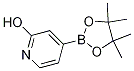 4-(4,4,5,5-Tetramethyl-1,3,2-dioxaborolan-2-yl)pyridin-2-ol CAS#: 1256358-90-3