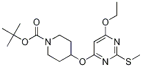 4- (6-Ethoxy-2-Methylsulfanyl-pyriMidin-4-yloxy) piperidin-1-carbonsäure-tert-butylester CAS-Nr .: 1353978-81-0