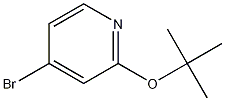 4-Bromo-2-tert-butoxypyridine CAS#: 1086381-36-3