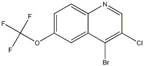 4-Bromo-3-chloro-6-trifluoromethoxyquinoline CAS#: 1211818-09-5
