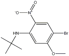 4-Bromo-N-t-butyl-5-methoxy-2-nitroaniline CAS#: 1261988-45-7