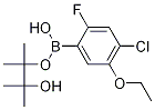 4-Chloro-5-ethoxy-2-fluorophenylboronic acid, pinacol ester CAS#: 1256360-15-2
