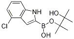 4-Chloroindole-2-boronic acid, pinacol ester CAS#: 1256358-95-8
