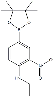 4-Ethylamino-3-nitrophenylboronic acid,pinacol ester CAS#: 1150271-70-7