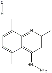 4-Hydrazino-2,5,8-trimethylquinoline hydrochloride CAS#: 1172431-20-7