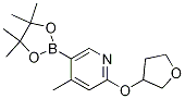 4-Methyl-2-((tetrahydrofuran-3-yl)oxy)-5-(4,4,5,5-tetraMethyl-1,3,2-dioxaborolan-2-yl)pyridine CAS#: 1352741-89-9