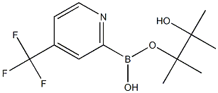 4-(TRIFLUOROMETHYL)PYRIDINE-2-BORONIC ACID PINACOL ESTER CAS#: 1096689-46-1