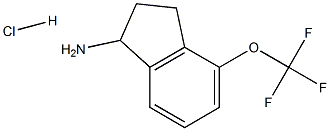4-(TrifluoroMethoxy)indan-1-aMine HCl CAS#: 1083090-92-9